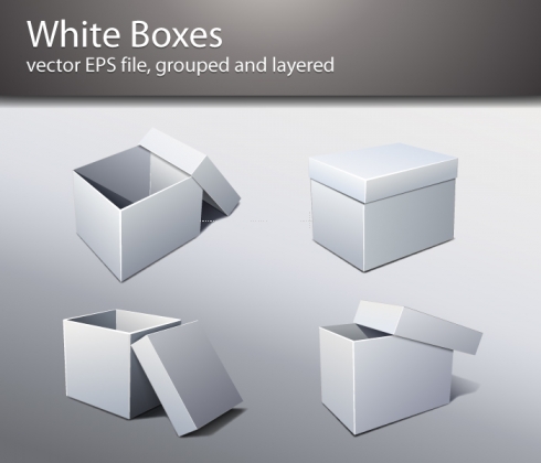 Template Image for Plain & White Packaging Box Vectors - 30176